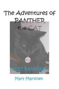 bokomslag THE Adventures of Panther the Cat