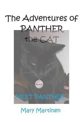 THE Adventures of Panther the Cat 1