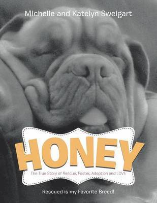 bokomslag Honey