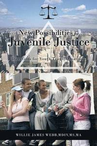 bokomslag New Possibilities for Juvenile Justice