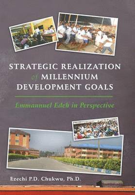 bokomslag Strategic Realization of Millennium Development Goals