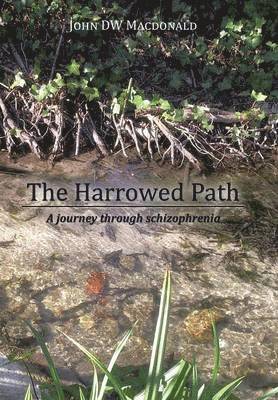 bokomslag The Harrowed Path