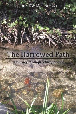bokomslag The Harrowed Path