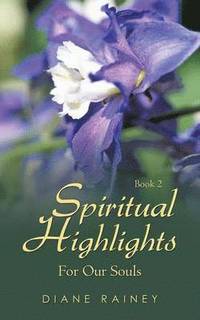 bokomslag Spiritual Highlights For Our Souls