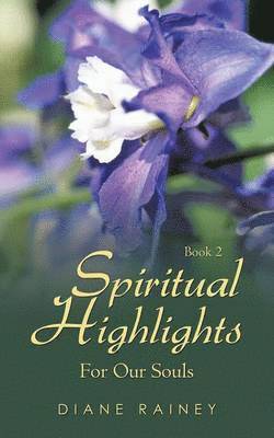 bokomslag Spiritual Highlights For Our Souls