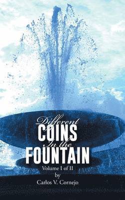 Different Coins in the Fountain 1