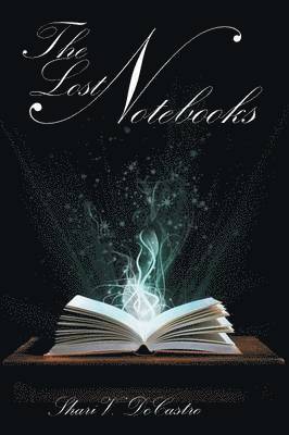 Shari V. DeCastro, Shari V. Decastro - Lost Notebooks, Häftad