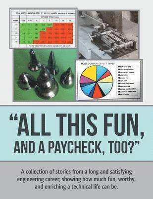 bokomslag "All This Fun, and a Paycheck, too?"