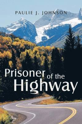 bokomslag Prisoner of the Highway