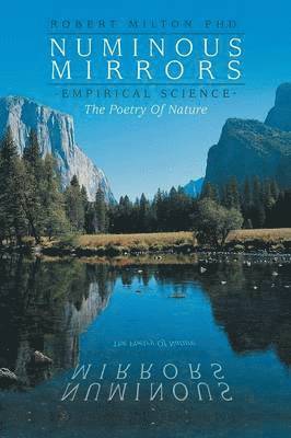 Numinous Mirrors 1