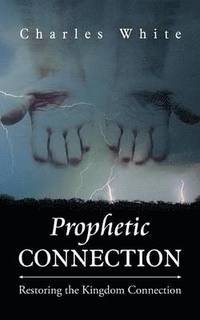 bokomslag Prophetic Connection
