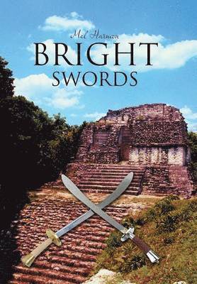 bokomslag Bright Swords