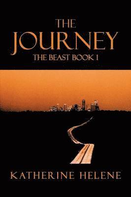 The Journey 1