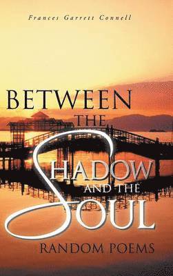 Between the Shadow and the Soul 1