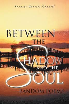 Between the Shadow and the Soul 1