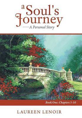 bokomslag Soul's Journey