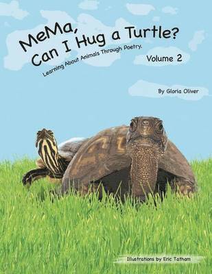 bokomslag MeMa, Can I Hug a Turtle?