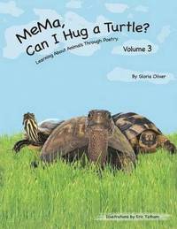 bokomslag MeMa, Can I Hug a Turtle?