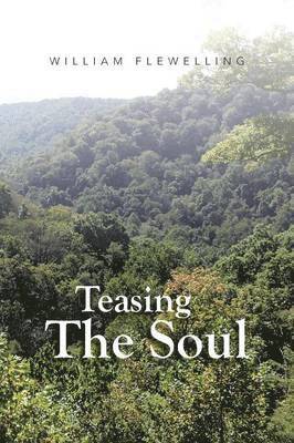 Teasing The Soul 1