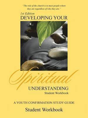 bokomslag Developing Your Spiritual Understanding