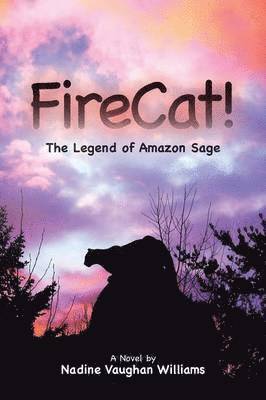 FireCat! 1