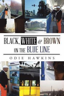 Black, White & Brown On The Blue Line 1