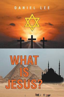 Daniel Lee - What Is Jesus?, Häftad