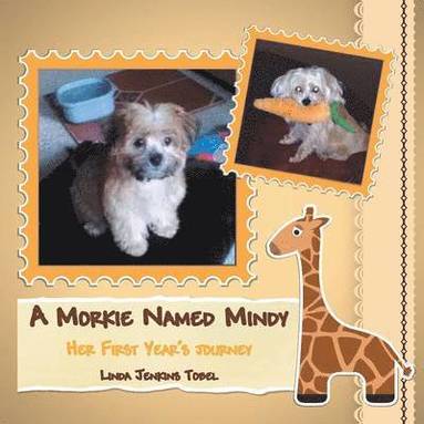 bokomslag A Morkie Named Mindy