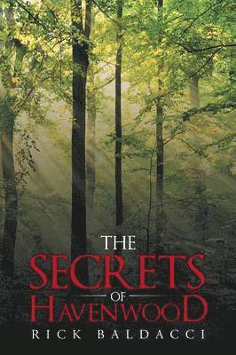 bokomslag Secrets of Havenwood