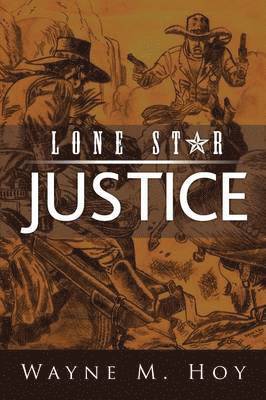 bokomslag Lone Star Justice