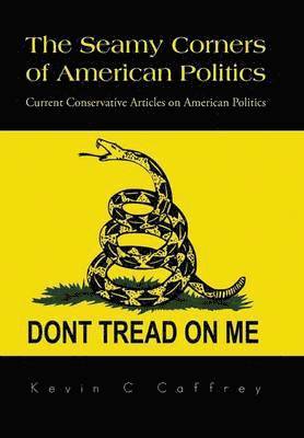 bokomslag Seamy Corners of American Politics