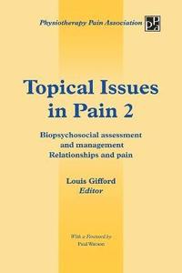 bokomslag Topical Issues in Pain 2