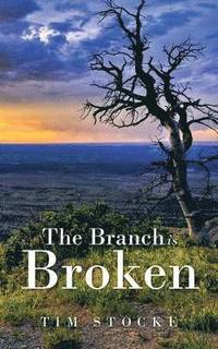 bokomslag Branch Is Broken