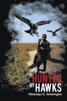 bokomslag Hunted by Hawks