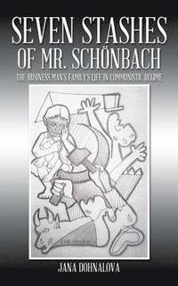 bokomslag Seven stashes of Mr. Schonbach