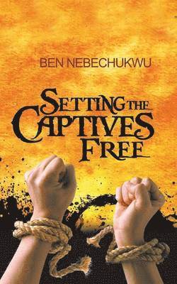 bokomslag Setting the Captives Free