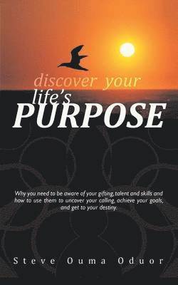 bokomslag Discover Your Life's Purpose