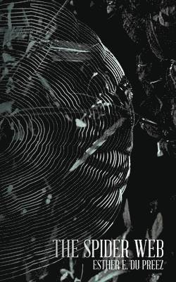 Spider Web