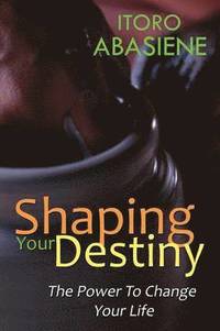bokomslag Shaping Your Destiny