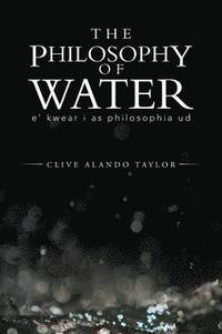 bokomslag The Philosophy Of Water