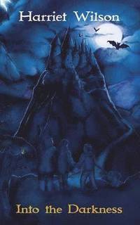 bokomslag Into the Darkness
