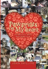 bokomslag Pawprints on My heart