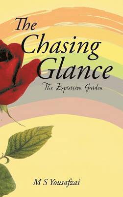 bokomslag Chasing Glance