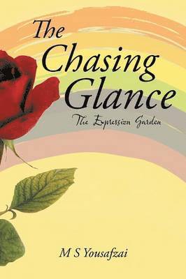 bokomslag Chasing Glance