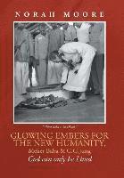 bokomslag Glowing Embers for the New Humanity, Meher Baba & C.G.Jung