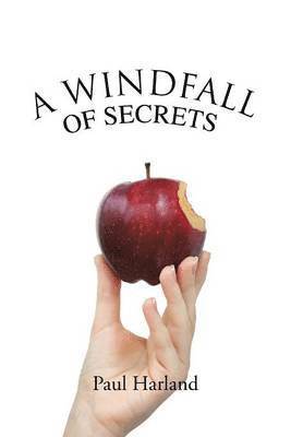 bokomslag Windfall of Secrets