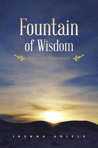 bokomslag Fountain of Wisdom