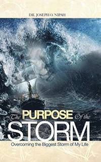 bokomslag Purpose of the Storm