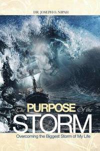 bokomslag Purpose of the Storm