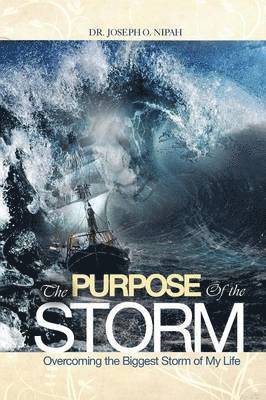 bokomslag Purpose of the Storm